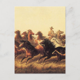 Cartão Postal Roping Wild Horses de James Walker
