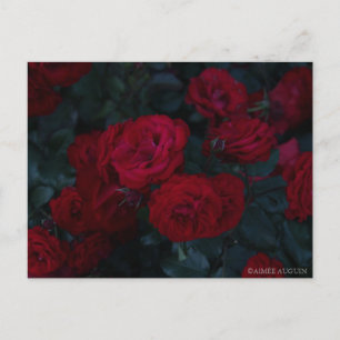 Cartão postal rosa