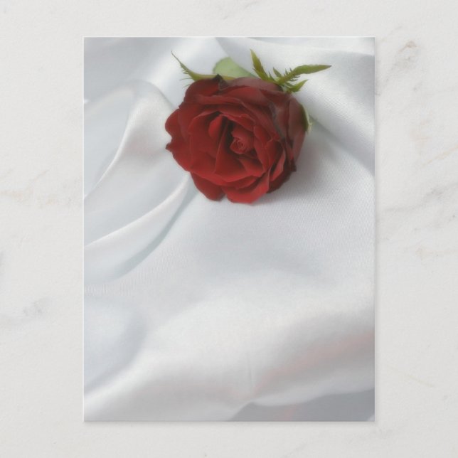 Cartão Postal rosa (Frente)