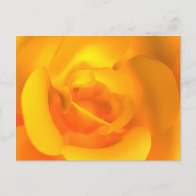 Cartão Postal Rosa Acesa (Frente)