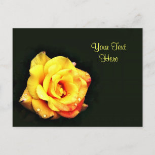 Cartão Postal Rosa amarela com gotas de chuva