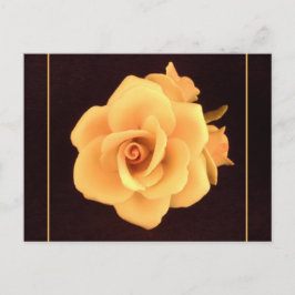 Cartão Postal Rosa Amarela, Foto 2004.