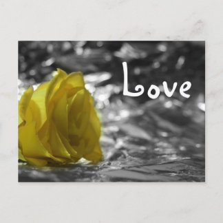 Cartão Postal Rosa Amarela No Amor De Fundo Do Lado Esquerdo