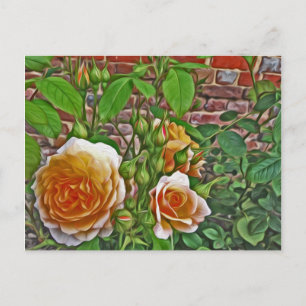 Cartão Postal Rosa Amarela no Jardim de Hampton Court