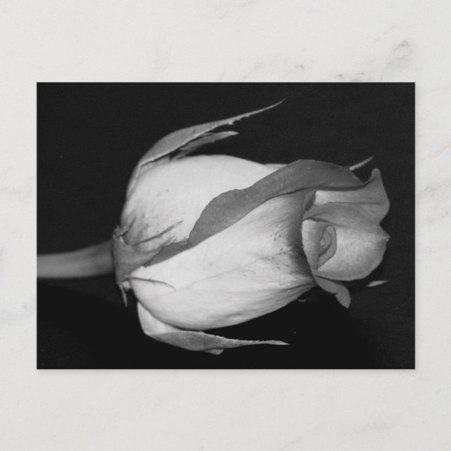 Cartão Postal Rosa Amarelo-Laranja (Frente)