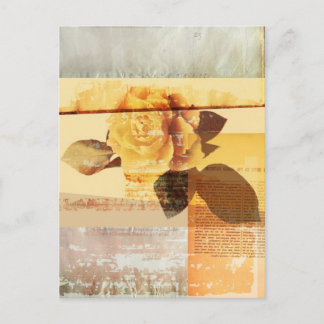 Cartão Postal Rosa antigo