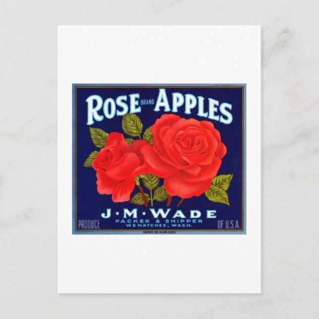 Cartão Postal Rosa Apples Wenatchee Washington (Frente)