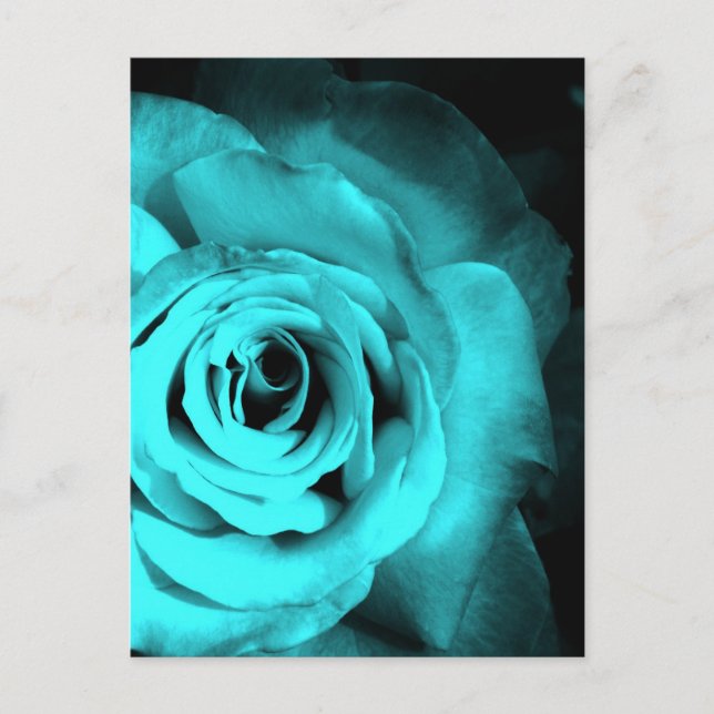 Cartão Postal Rosa azul (Frente)