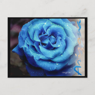 Cartão Postal Rosa azul