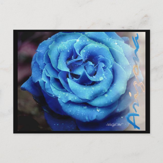 Cartão Postal Rosa azul (Frente)