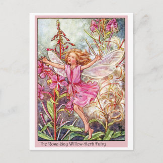 Cartão Postal Rosa Bay Wilow-Herb Fairy