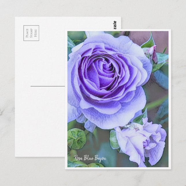 Cartão Postal Rosa Blue Bajou (Frente/Verso)