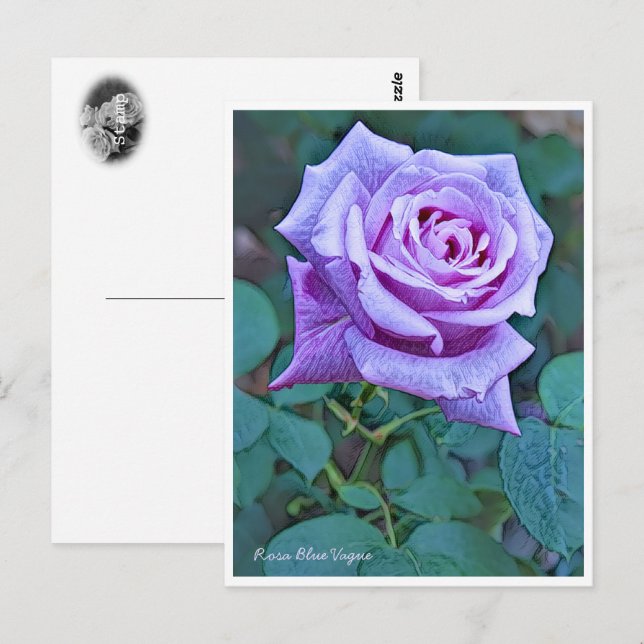 Cartão Postal Rosa Blue Vague (Frente/Verso)
