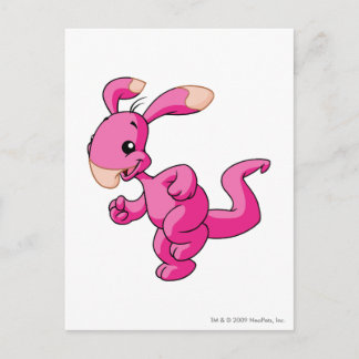 Cartão Postal Rosa Blumaroo
