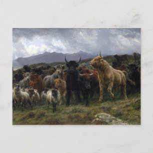 Cartão Postal Rosa Bonheur Highland Raid