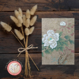 Cartão Postal Rosa branca