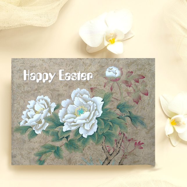 Cartão Postal Rosa branca (Criador carregado)