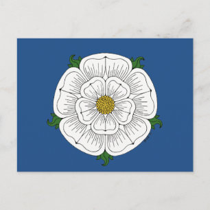 Cartão Postal Rosa Branca de York