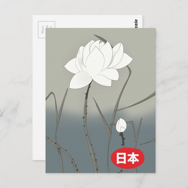 Cartão Postal Rosa Branca Japonesa (Frente/Verso)