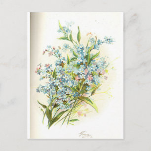 Cartão Postal rosa brier