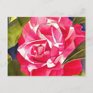 Cartão Postal Rosa Camellia aquarela pintura de flores