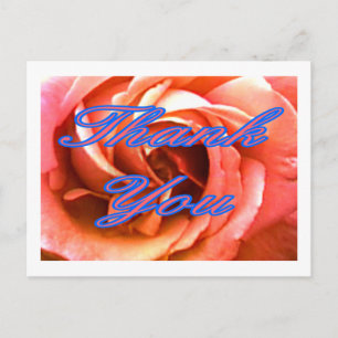 Cartão Postal Rosa Canterbury 4 Obrigado 1 O MUSEU Zazzle Gi