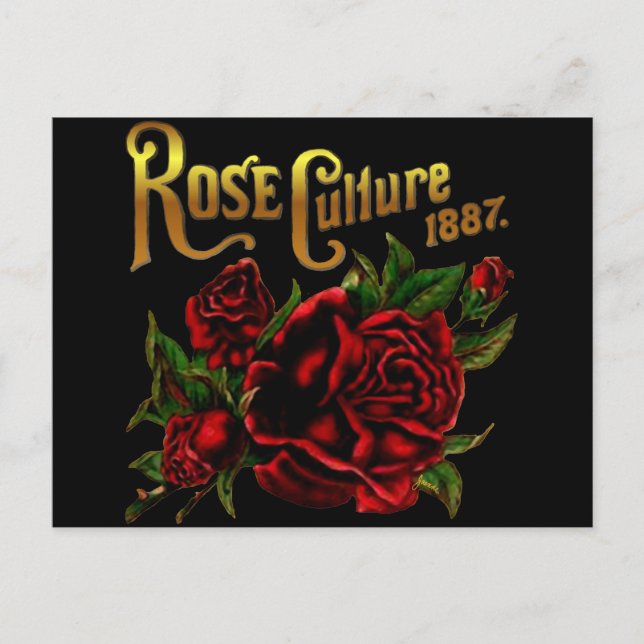 Cartão Postal Rosa Cultura 1887 (Frente)