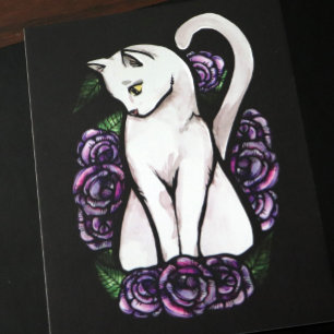 Cartão Postal Rosa de gato branco rosa