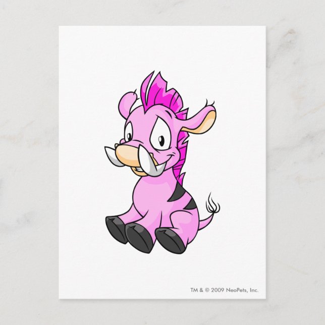 Cartão Postal Rosa de Moehog (Frente)