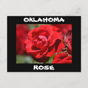 Cartão Postal Rosa de Oklahoma