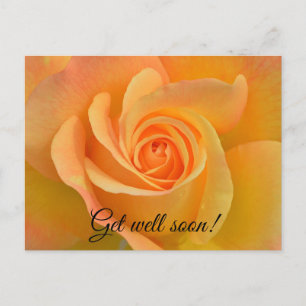 Cartão Postal Rosa de recuperação