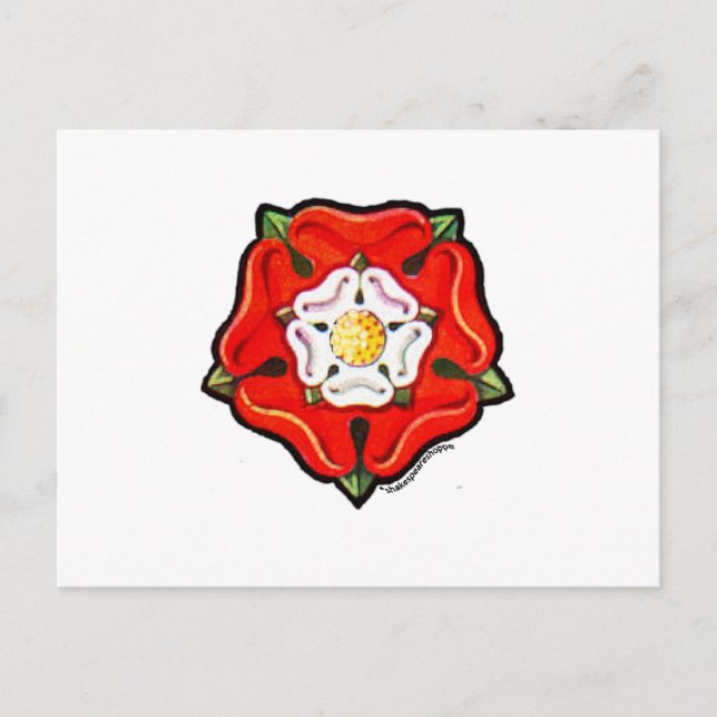 Cartão Postal Rosa de Tudor de solteiro (Frente)
