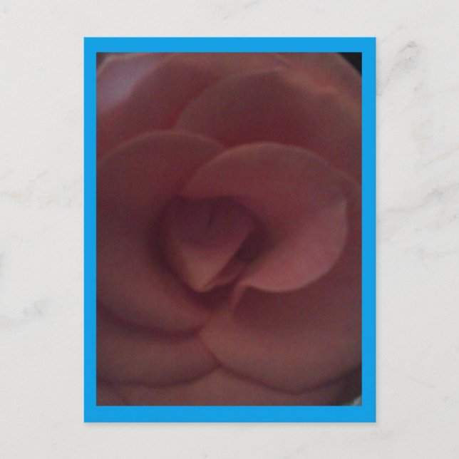 Cartão Postal Rosa Dragon (Frente)