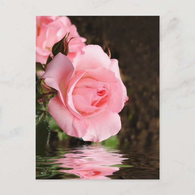 Cartão Postal rosa e água (Frente)