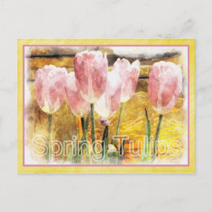 Cartão Postal Rosa e Amarelo - A Primavera é para Tulipas