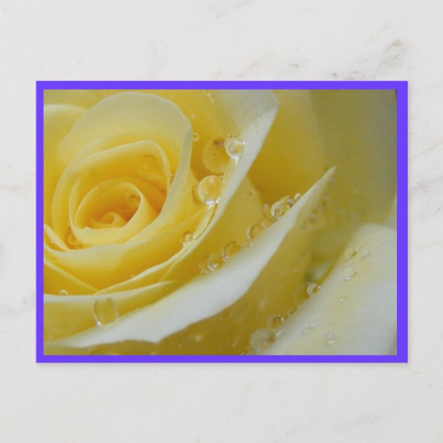 Cartão Postal rosa e colírio (Frente)