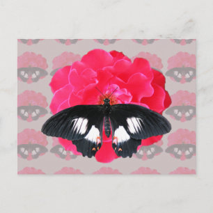 Cartão Postal Rosa e Swallowtail