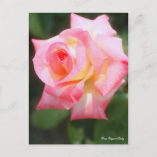 Cartão Postal Rosa Elegante Lady [Cartão Postal]