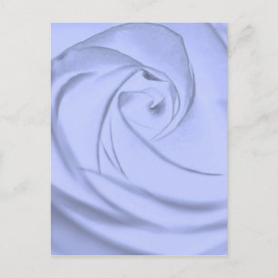 Cartão Postal Rosa em azul.jpg