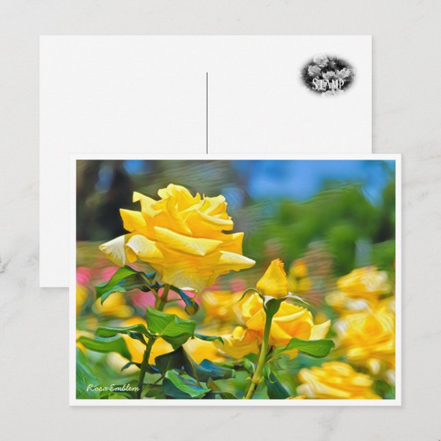 Cartão Postal Rosa Emblem (Frente/Verso)