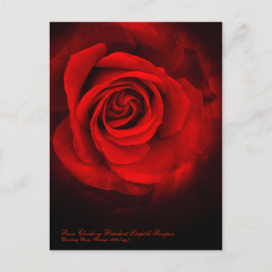 Cartão Postal Rosa Escalbing Président Léopold Senghor