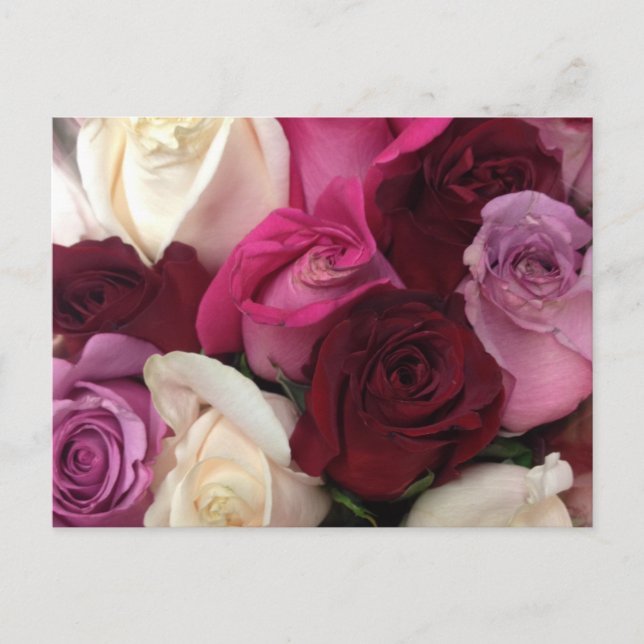 Cartão Postal Rosa Floral (Frente)