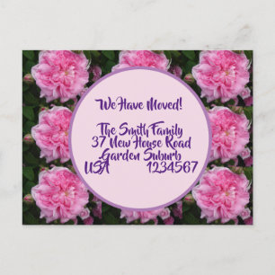 Cartão Postal Rosa Flores Novo Cartão-Postal De Endereço, Esta