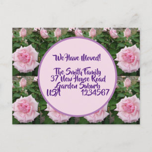 Cartão Postal Rosa Flores Novo Cartão-Postal De Endereço, Estamo