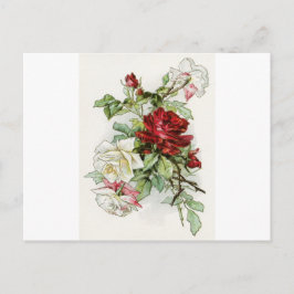 Cartão Postal Rosa flores vintage rosa victorian