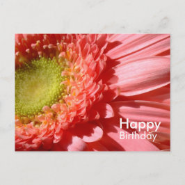 Cartão Postal Rosa Gerbera - Feliz Aniversário