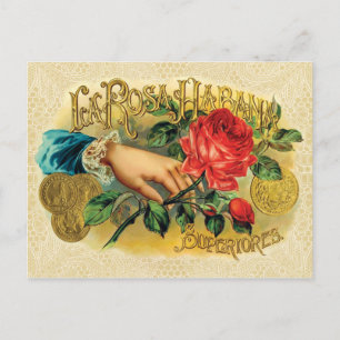 Cartão Postal Rosa Habana Vintage Cigar Label