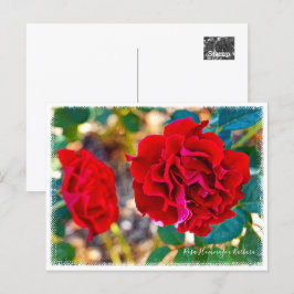 Cartão Postal Rosa Hommage a Barbara