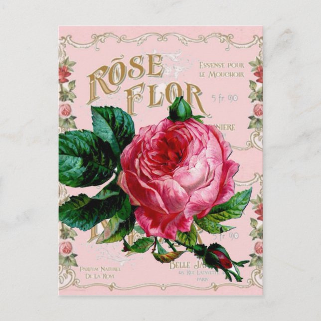 Cartão Postal Rosa inglês SHABBYCHIC rosa (Frente)