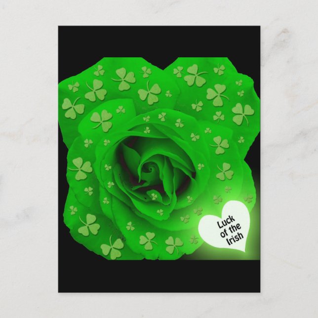 Cartão Postal Rosa irlandês - Sorte dos irlandeses (Frente)